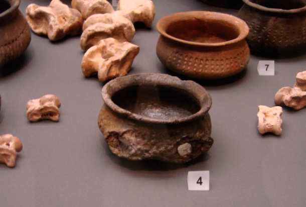 Gefäß- und Knochenfunde aus der Höhle - Ausgestellt im Landesmuseum Ferdinandeum